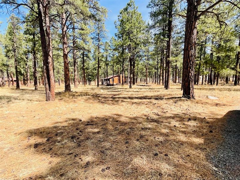 Stonewall Country Club Blk 4 : Stonewall : Las Animas County : Colorado