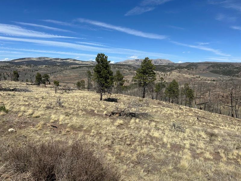 Lot 184 Forbes Park, Ft Garland : Fort Garland : Costilla County : Colorado