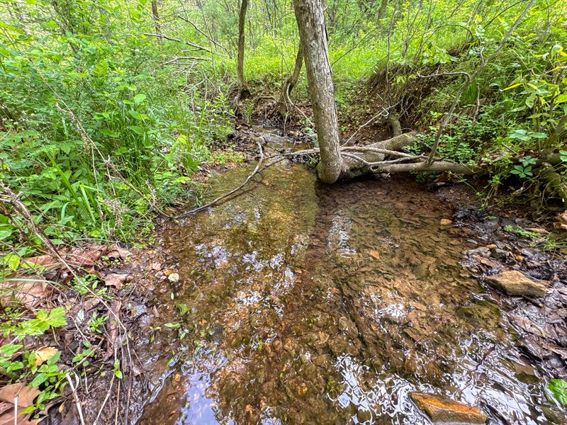 Stone County 21 : Galena : Stone County : Missouri