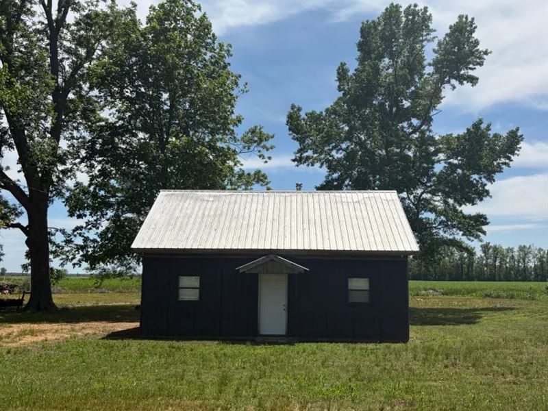 66.2 Acres with a Cabin in Leflore : Minter City : Leflore County : Mississippi