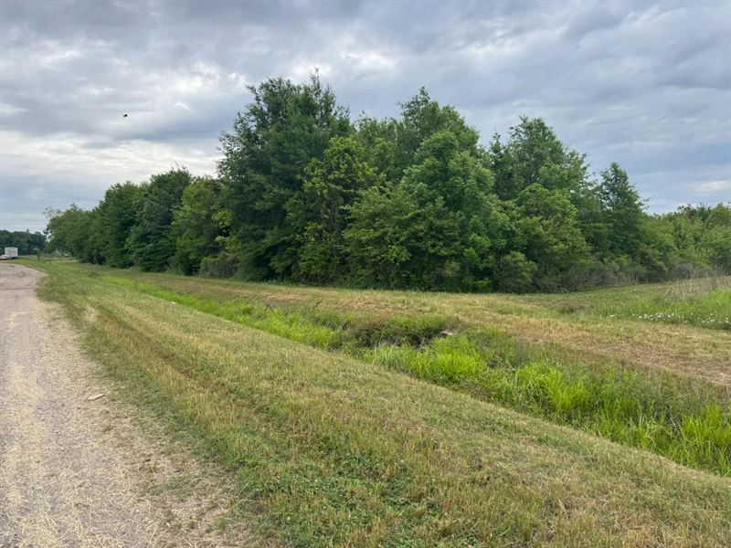 50 Acres in Tensas Parish, LA : Waterproof : Tensas Parish : Louisiana