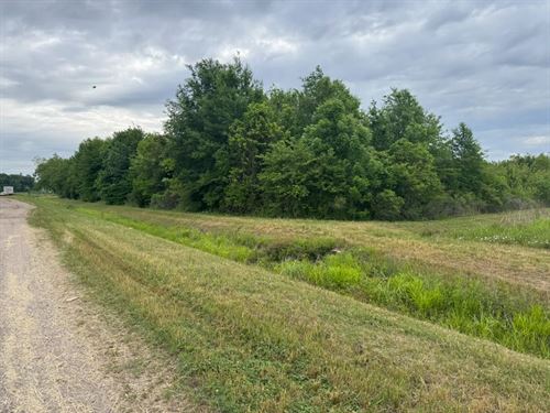 50 Acres in Tensas Parish, LA : Waterproof : Tensas Parish : Louisiana