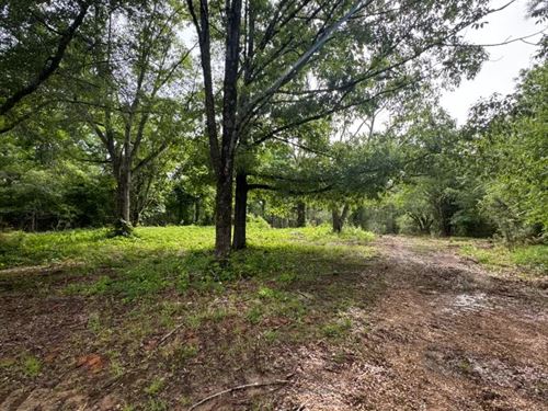 110 Acres in Calhoun County, MS : Banner : Calhoun County : Mississippi