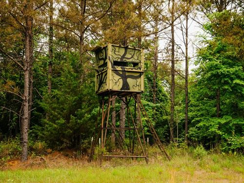 280.2 Acres in Noxubee County, MS : Shuqualak : Noxubee County : Mississippi
