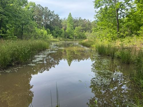39 Acres in Calhoun County, MS : Banner : Calhoun County : Mississippi