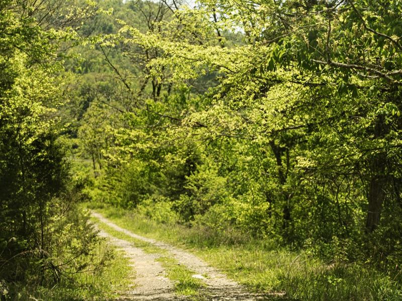 1,500 Acres in Claiborne/Hancock Co : Tazewell : Claiborne County : Tennessee