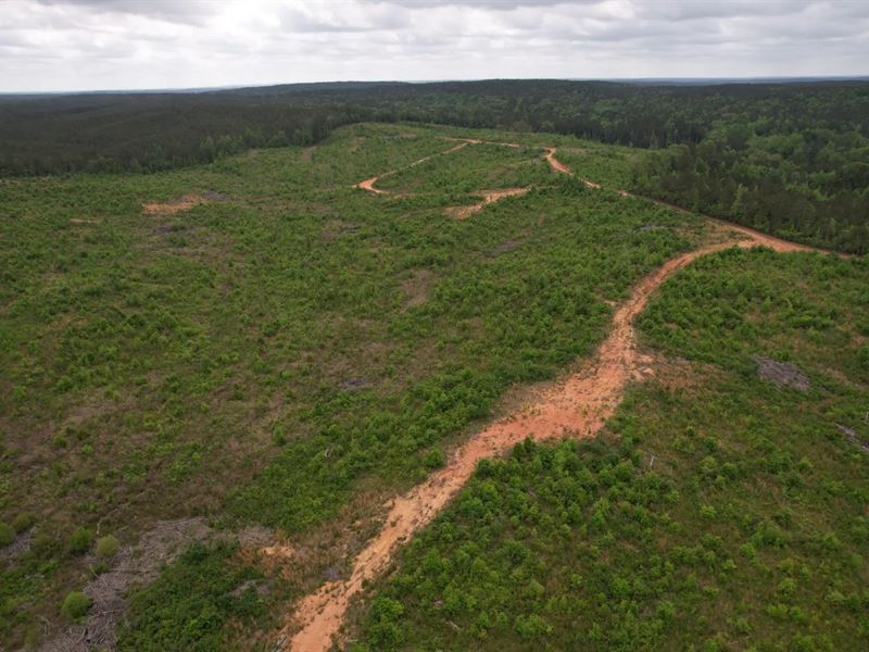 200 Acres in Attala County, MS : Ethel : Attala County : Mississippi