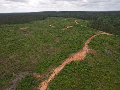 200 Acres in Attala County, MS : Ethel : Attala County : Mississippi