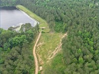 84.94 Acres in Lincoln County in We : Wesson : Lincoln County : Mississippi