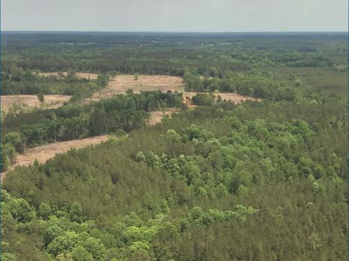 113 Acres in Smith County in Pulask : Pulaski : Smith County : Mississippi