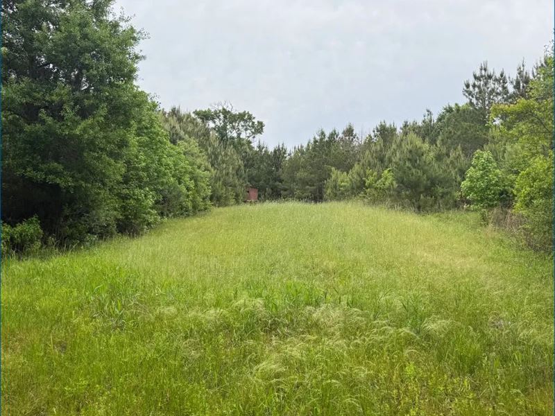 72 Acres in Pike County in McComb : McComb : Pike County : Mississippi