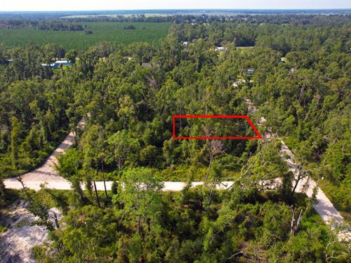 Expandable Lot Near Suwannee River : Suwannee : Florida