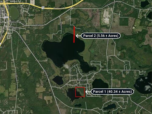 2 Parcels, Land Auction : Hawthorne : Putnam County : Florida