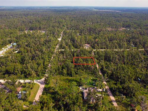 Residential Lot with Room to Grow : Suwannee : Florida