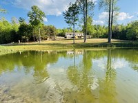 1800Sqft Home 9.5Ac with Pond : Dunlap : Sequatchie County : Tennessee