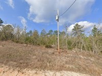 Buildable Lot in Trout Lake Village : Interlachen : Putnam County : Florida