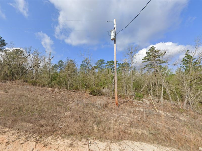 Buildable Lot in Trout Lake Village : Interlachen : Putnam County : Florida