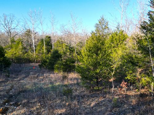 Quiet Acres in Izard County AR : Horseshoe Bend : Izard County : Arkansas