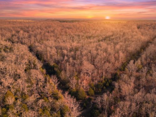 Quiet Acres in Izard County AR : Horseshoe Bend : Izard County : Arkansas