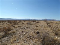3.55 Desert Acres Near Kingman : Golden Valley : Mohave County : Arizona