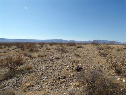 3.55 Desert Acres Near Kingman : Golden Valley : Mohave County : Arizona