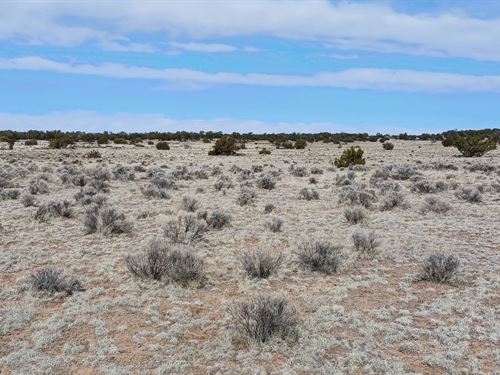 1.02 Acre Arizona High Desert Lot : Sanders : Apache County : Arizona
