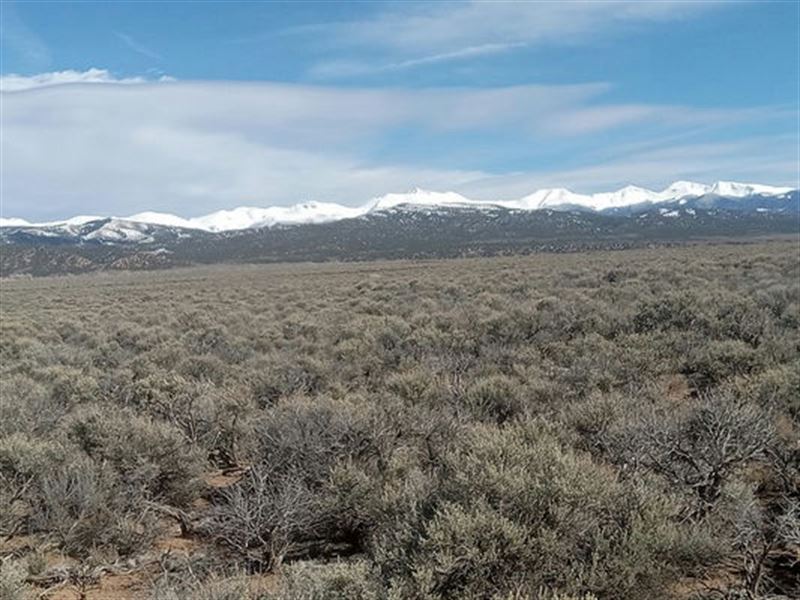 Discounted 4.67 Acres in Colorado : Fort Garland : Costilla County : Colorado