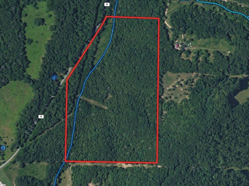 Beautiful Wooded, Vacant Land : Bakersfield : Ozark County : Missouri
