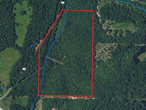 Beautiful Wooded, Vacant Land : Bakersfield : Ozark County : Missouri