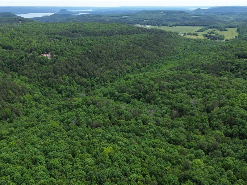80 Acres Recreational Timberland : Bee Branch : Van Buren County : Arkansas