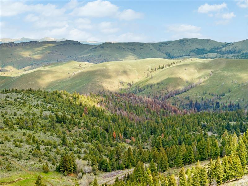 Baker/Malheur 1676 : Bridgeport : Baker County : Oregon