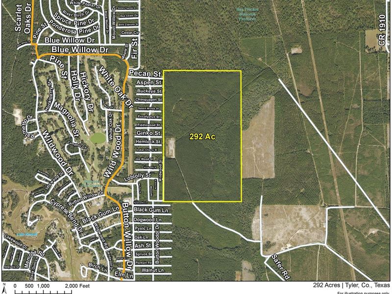 292 Acres, West of SH 287, 6253 : Warren : Tyler County : Texas