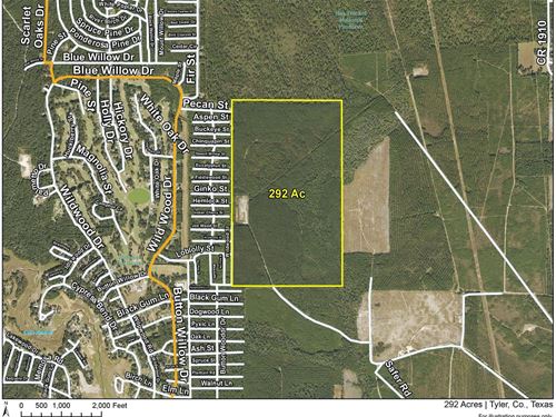 292 Acres, West of SH 287, 6253 : Warren : Tyler County : Texas