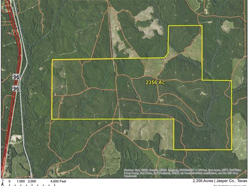 2356 Acres, 6707-6708 : Jasper : Texas