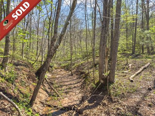 Pounds Rd, 24 Acres : Chesterhill : Morgan County : Ohio