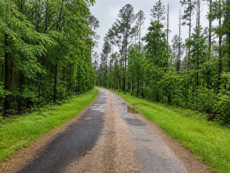 16 Acres in Copiah County, MS : Crystal Springs : Copiah County : Mississippi