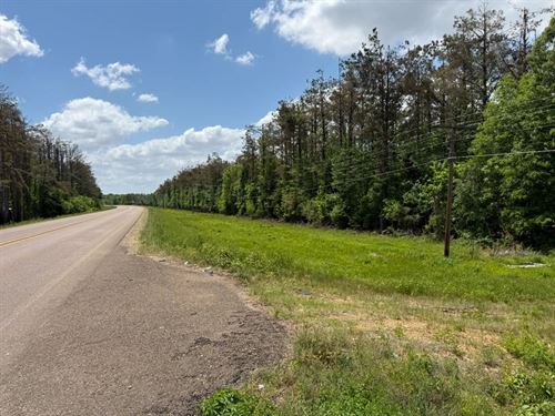20 Acres in Leflore County, MS : Greenwood : Leflore County : Mississippi