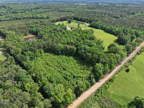29.29 Acres in Calhoun County, MS : Calhoun City : Calhoun County : Mississippi