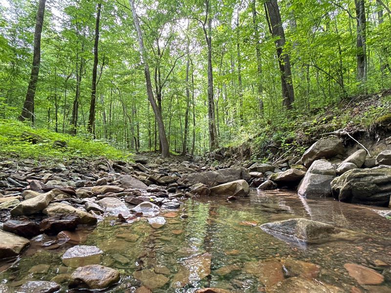 108 Acres, NW Georgia, Hunting : Trenton : Dade County : Georgia