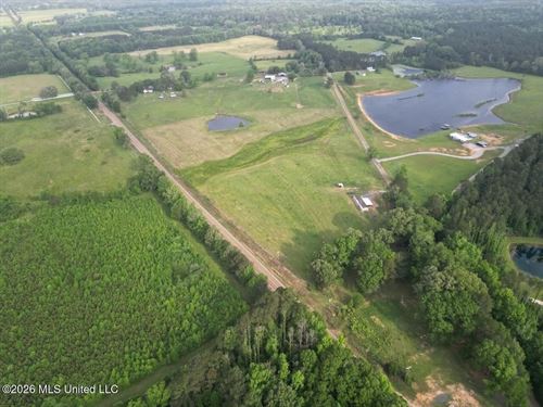 37 Acres in Centreville MS on Old : Centreville : Wilkinson County : Mississippi