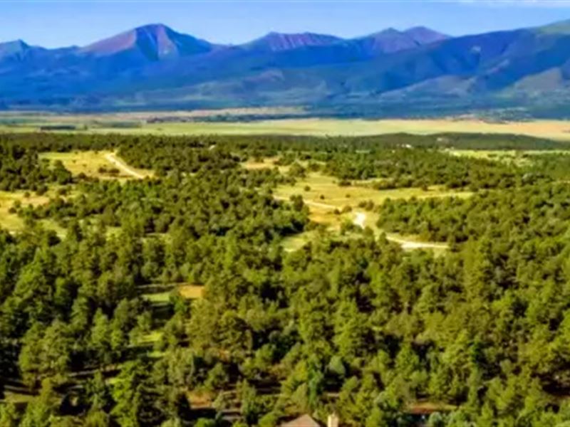 2.47 Acre with Trees and Mountain : Cotopaxi : Fremont County : Colorado
