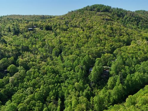 Hess Drive 2.88 Acre 3 Lots Package : Laurel Park : Henderson County : North Carolina