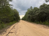 Build-Ready Lot in Interlachen Lake : Interlachen : Putnam County : Florida