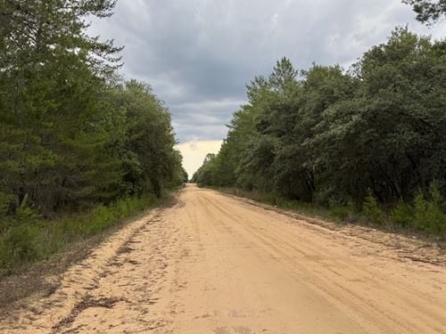 Build-Ready Lot in Interlachen Lake : Interlachen : Putnam County : Florida
