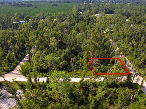 Corner Lot with More Parcels Nearby : Live Oak : Suwannee County : Florida