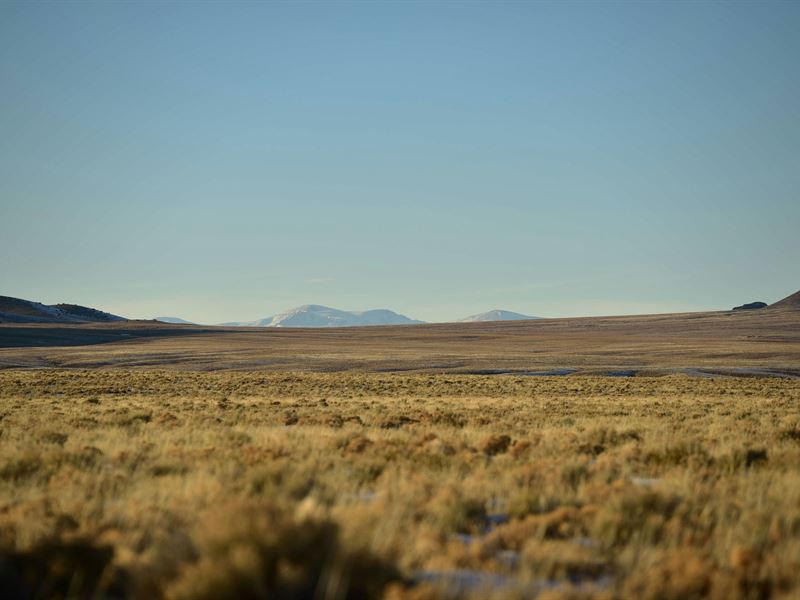 Your 5 Acre Colorado Retreat : San Luis : Costilla County : Colorado