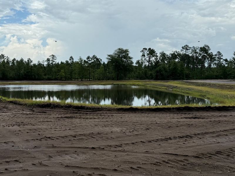 298 Acres Fountain FL Hunting Ranch : Fountain : Bay County : Florida