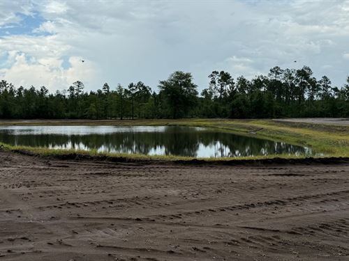 298 Acres Fountain FL Hunting Ranch : Fountain : Bay County : Florida