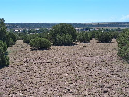 Corner Double-Lot Property, Power : Concho : Apache County : Arizona