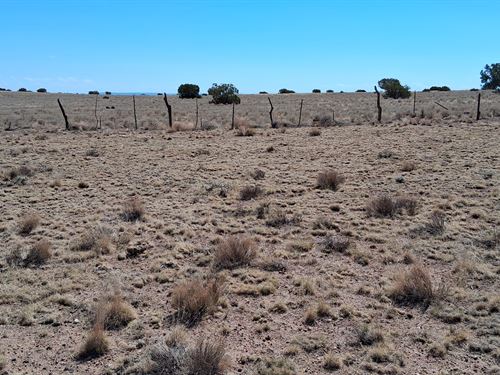 Own Desert Off-Grid Lot with View : Concho : Apache County : Arizona